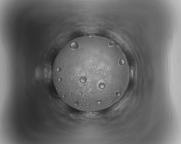 X0000099941251200805231244