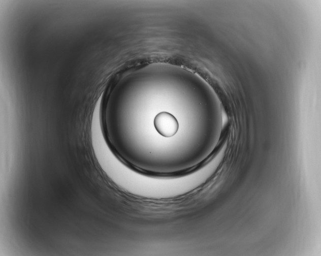 X0000099941252200805231244