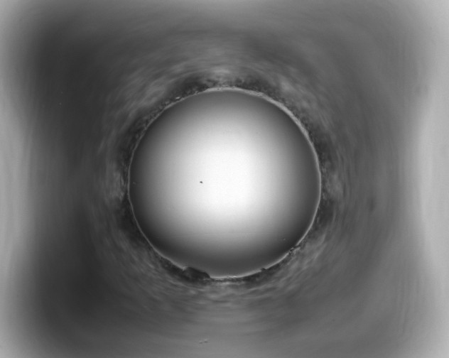 X0000099941253200805231244