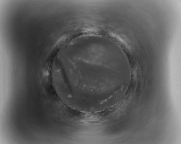 X0000099941254200805231244