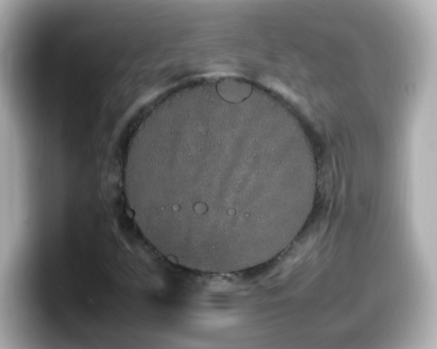 X0000099941255200805231244