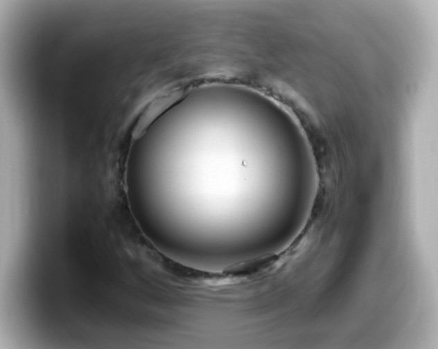 X0000099941256200805231244