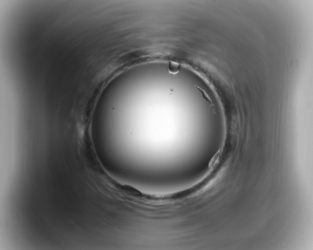 X0000099941257200805231244