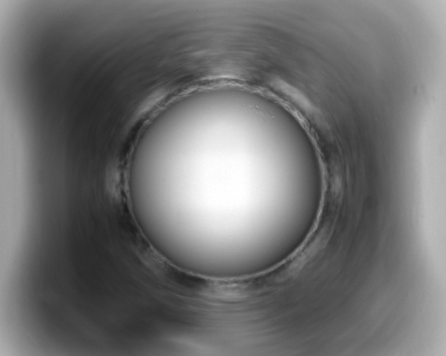 X0000099941258200805231244