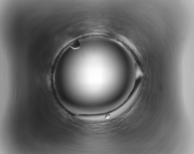 X0000099941260200805231244