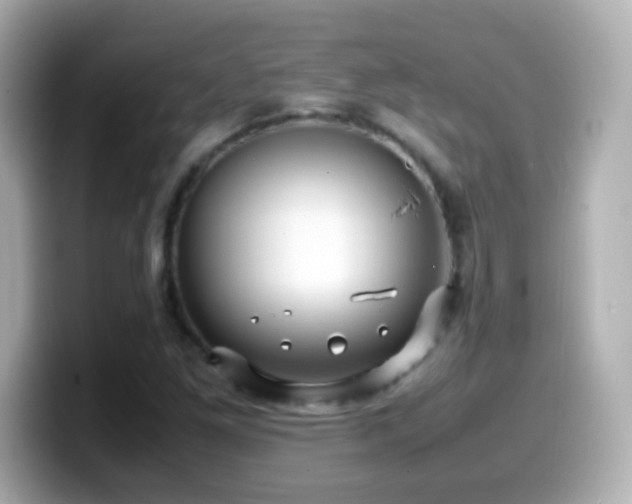 X0000099941261200805231244