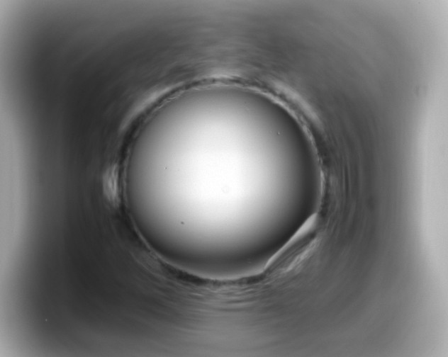 X0000099941262200805231244