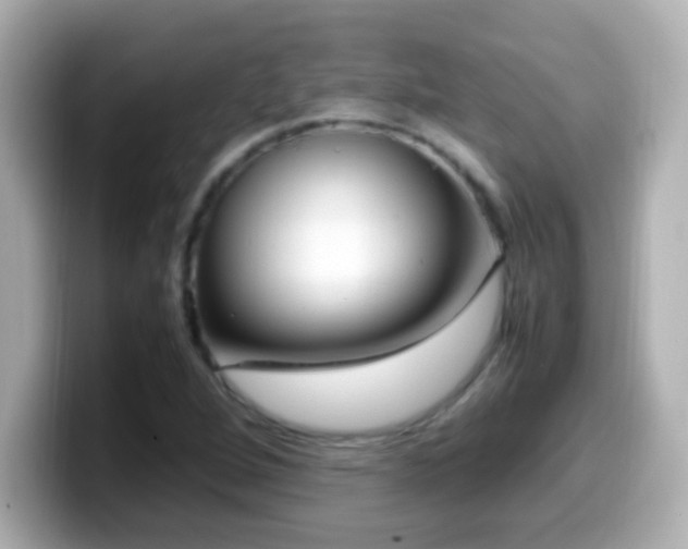 X0000099941264200805231244