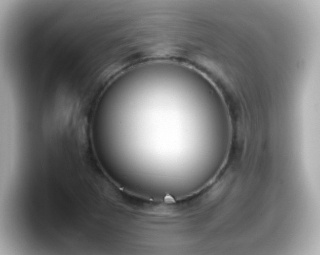 X0000099941265200805231244
