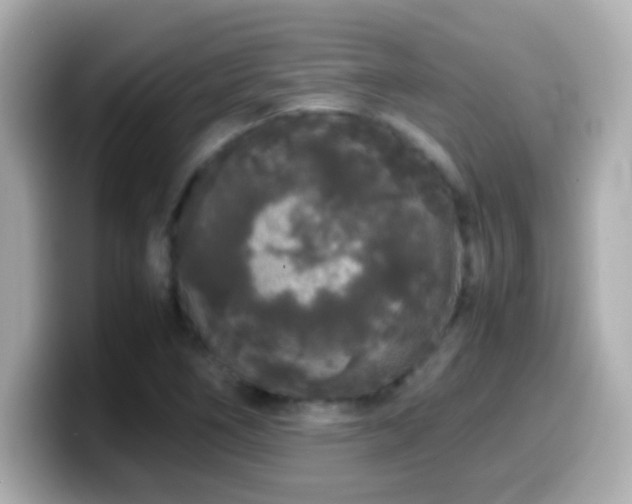 X0000099941266200805231244