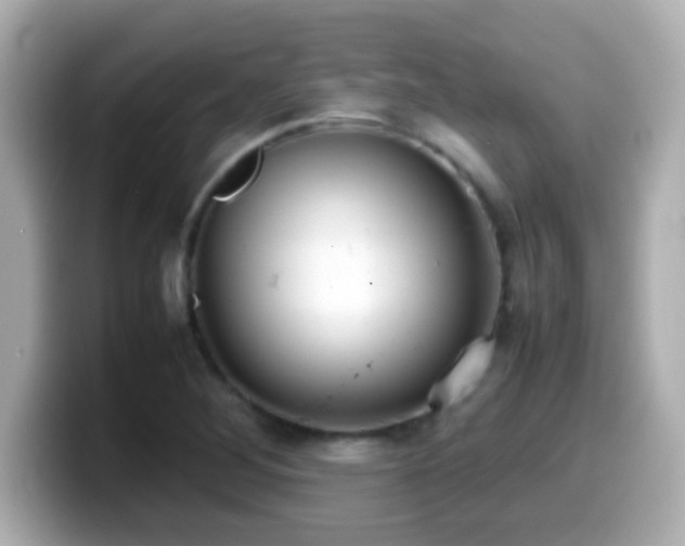 X0000099941268200805231244