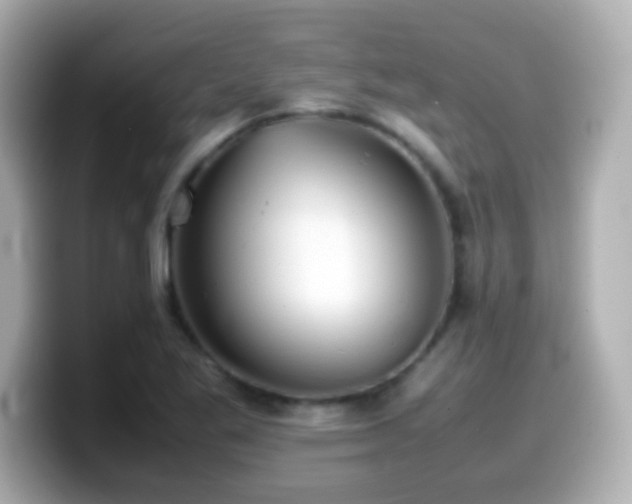 X0000099941269200805231244