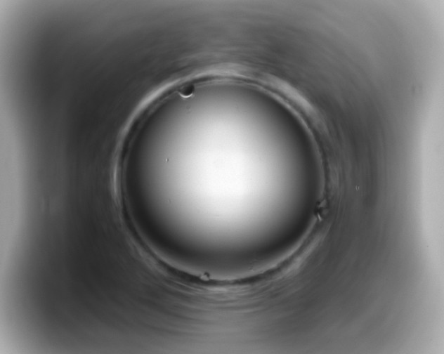X0000099941272200805231244