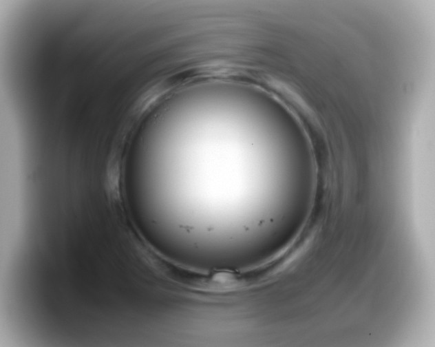 X0000099941273200805231244