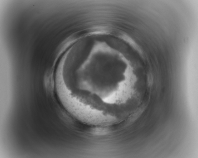 X0000099941274200805231244