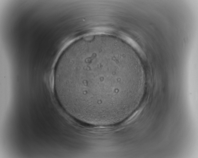 X0000099941275200805231244