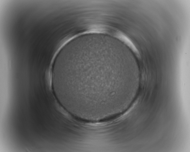 X0000099941276200805231244