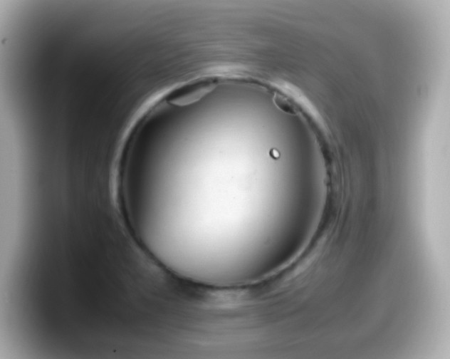 X0000099941277200805231244