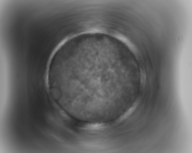 X0000099941278200805231244