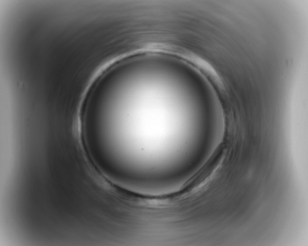 X0000099941280200805231244