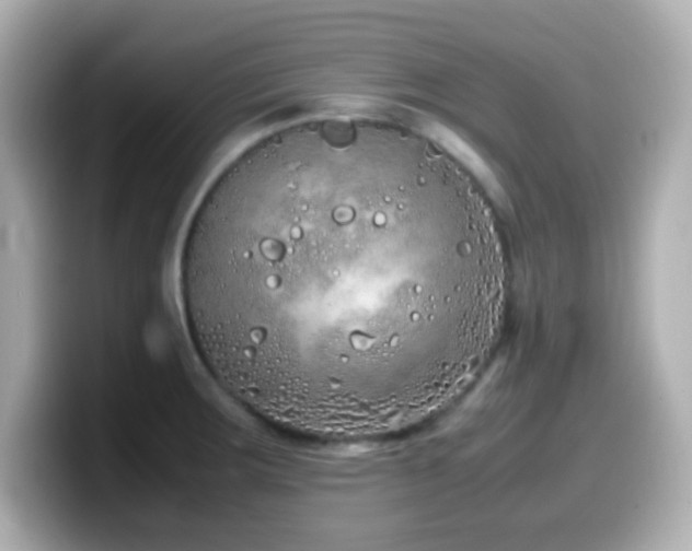 X0000099941283200805231244