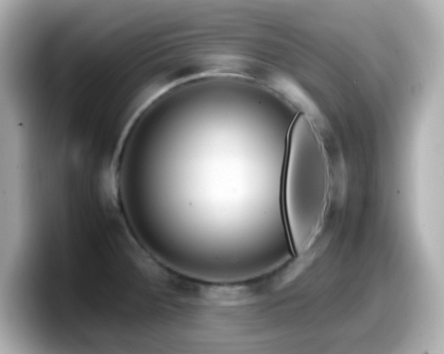 X0000099941284200805231244