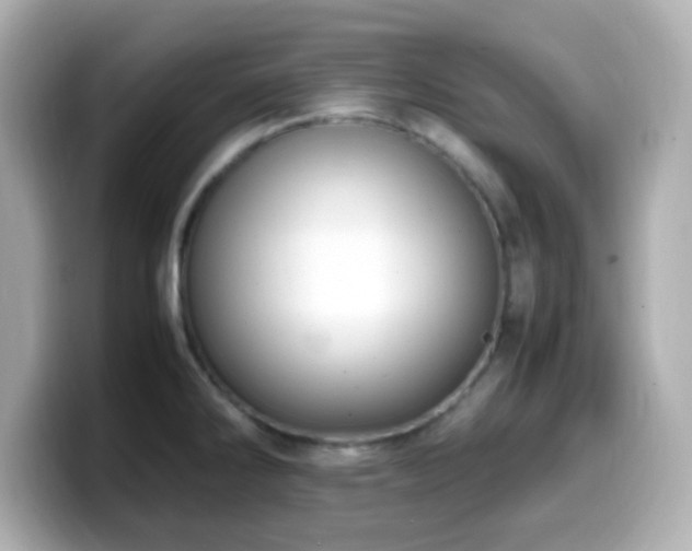 X0000099941286200805231244
