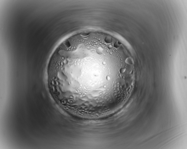 X0000099941287200805231244