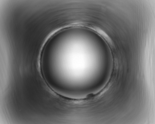 X0000099941288200805231244