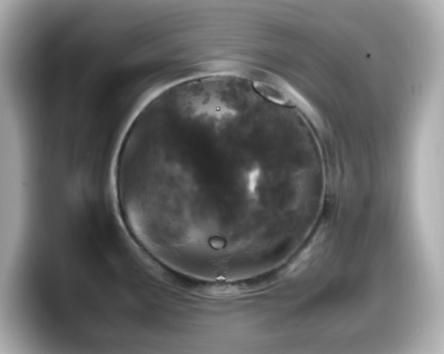 X0000099941291200805231243