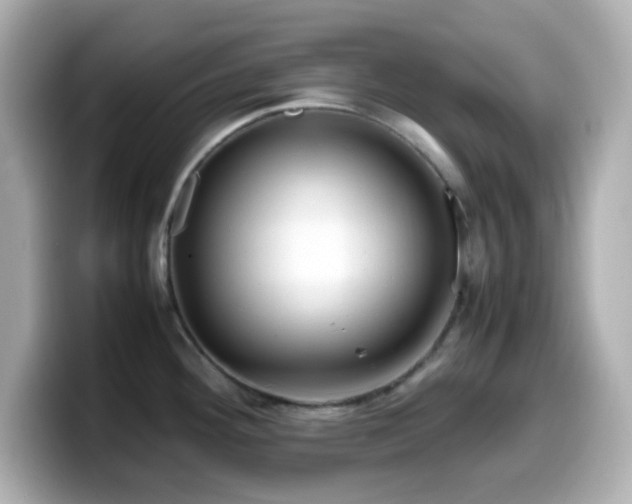 X0000099941292200805231243