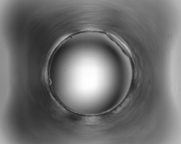 X0000099941293200805231243