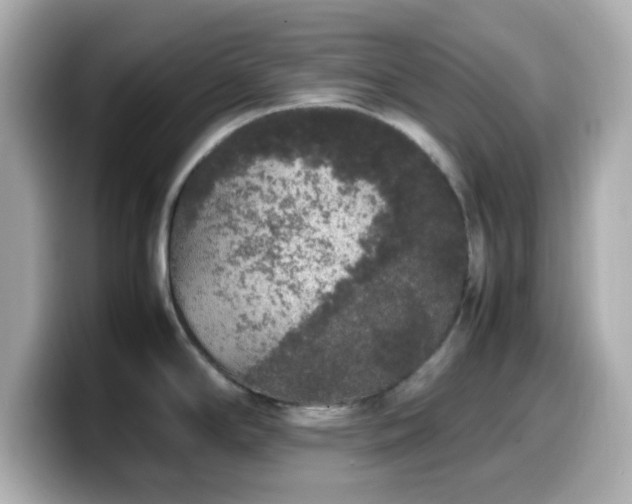X0000099941294200805231243