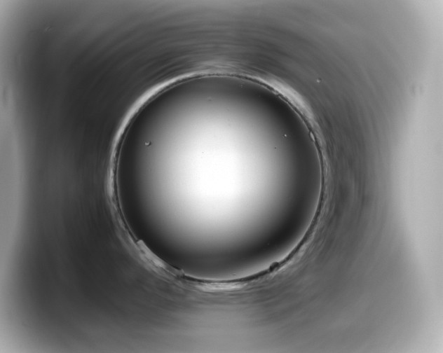 X0000099941296200805231243