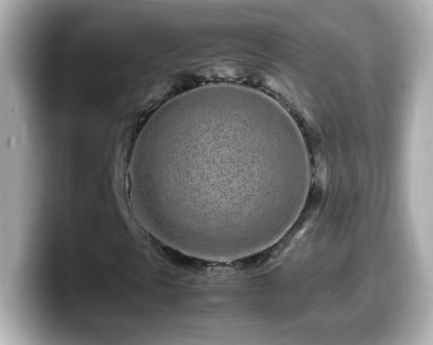 X0000099941297200805231243