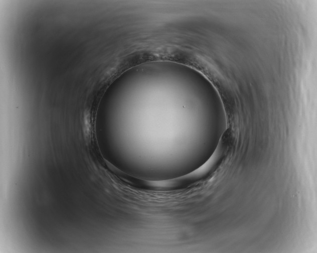 X0000099941298200805231243