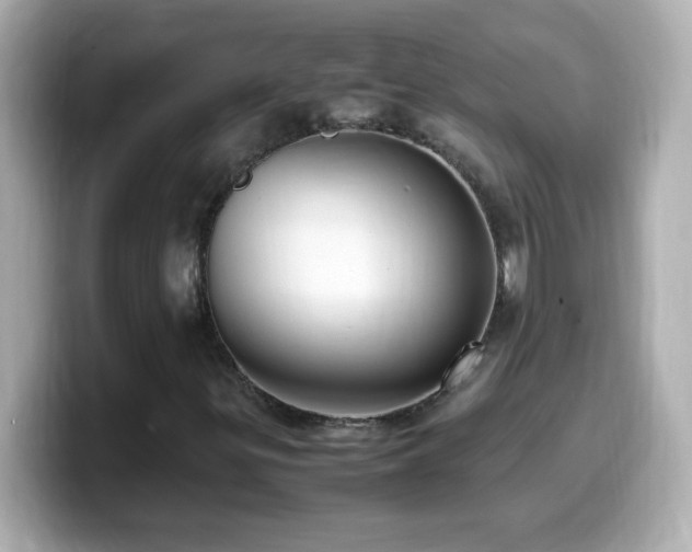 X0000099941299200805231243