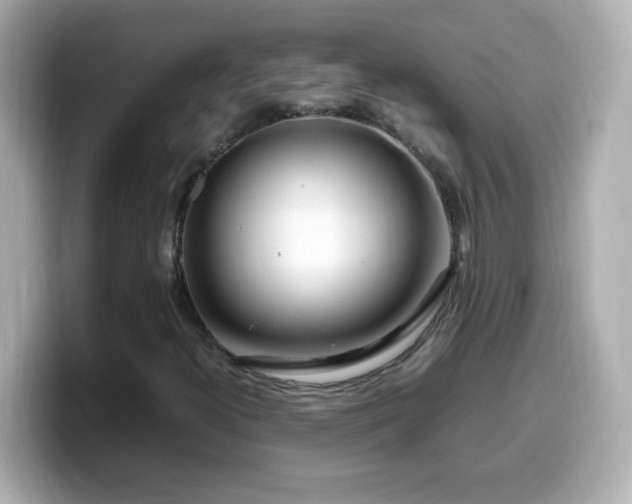 X0000099941300200805231243