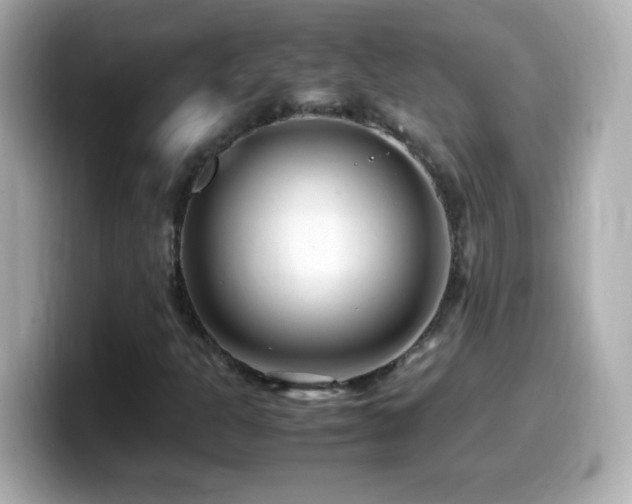X0000099941301200805231243