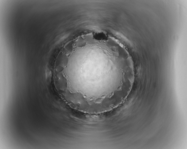 X0000099941302200805231243