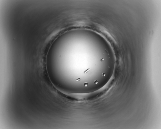X0000099941304200805231243