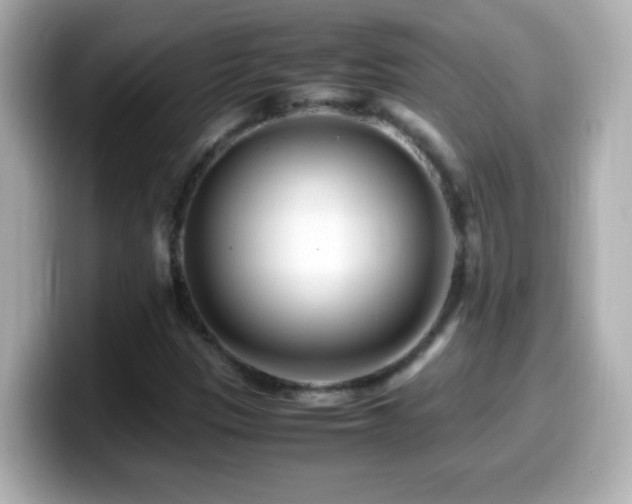 X0000099941305200805231243