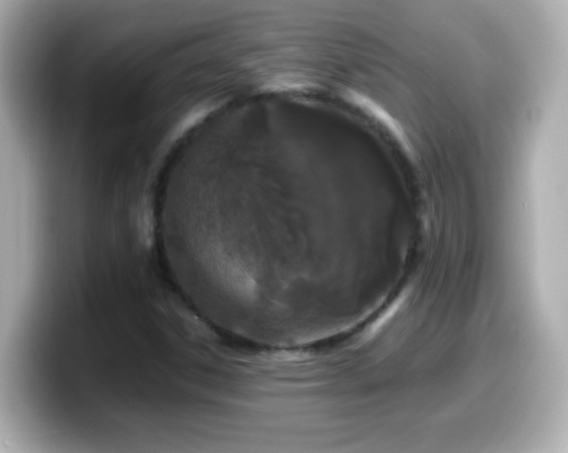 X0000099941306200805231243