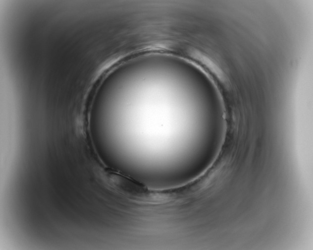 X0000099941308200805231243