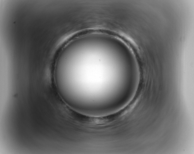 X0000099941311200805231243