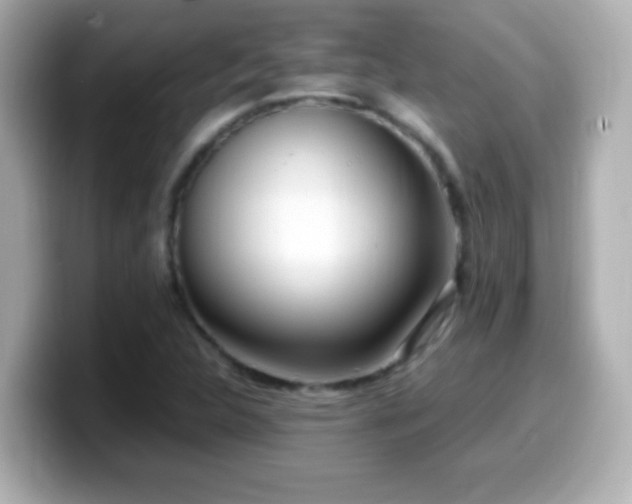 X0000099941312200805231243