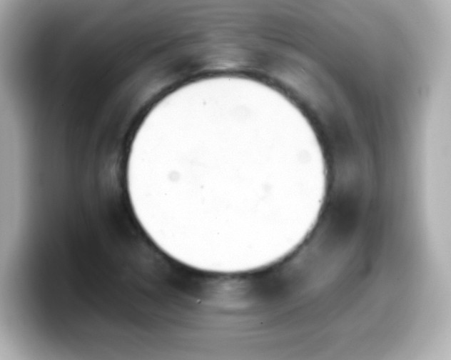 X0000099941314200805231243