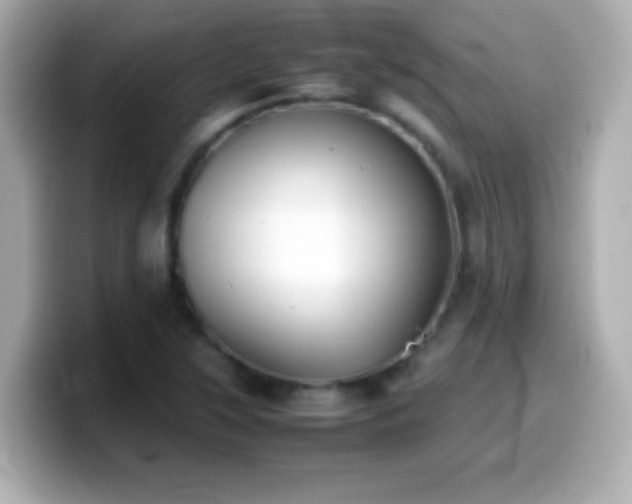 X0000099941315200805231243