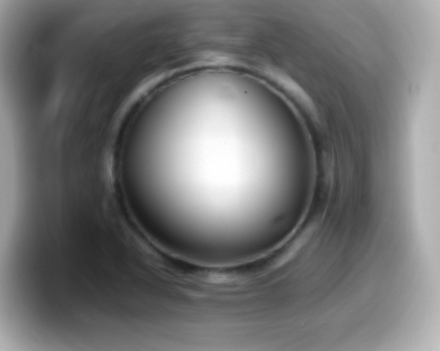 X0000099941318200805231243