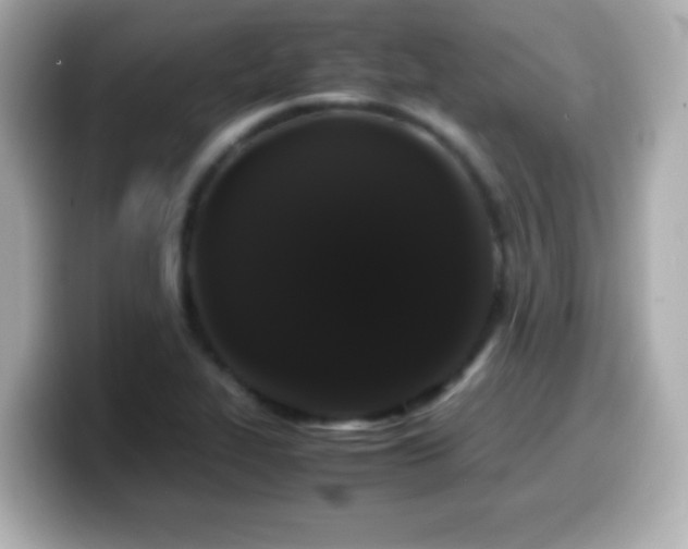 X0000099941319200805231243